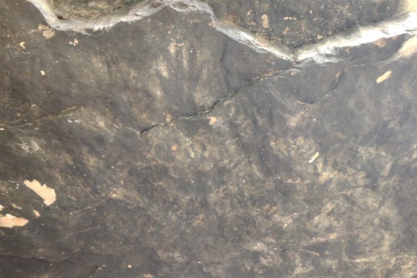 INAH realiza estudios sobre arte rupestre en la cueva de las manitas