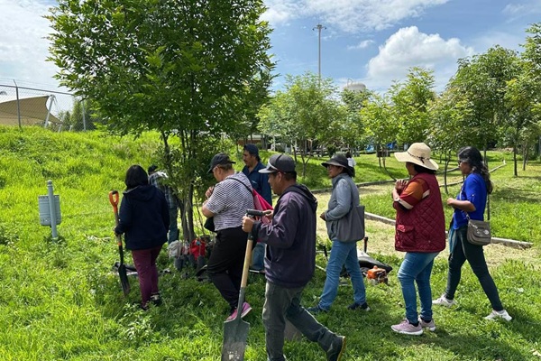 Refuerza Ayuntamiento de Puebla reforestación con más de 964 árboles plantados