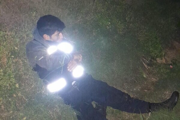 Este fenómeno debe llamar la atención de autoridades para frenar estos asaltos, que causan pérdidas y rompen la inocuidad de las granjas