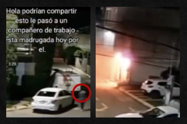 Fue provocado el incendio que mató a perrito en el fraccionamiento El Refugio, Puebla