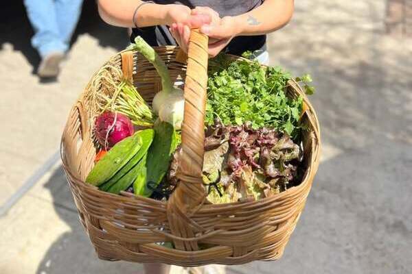 El Tianguis Alternativo de Puebla ha demostrado formas concretas y colectivas de transformar la relación con los alimentos, y la naturaleza