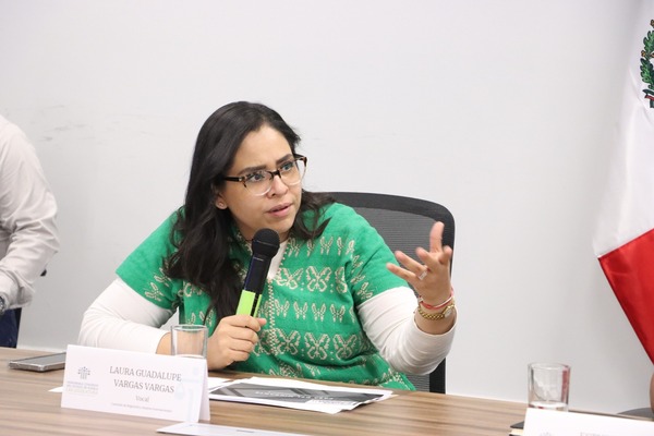 Detalló que el proyecto que presenta el Ayuntamiento se acompaña de discos que contiene información relacionada con la propuesta