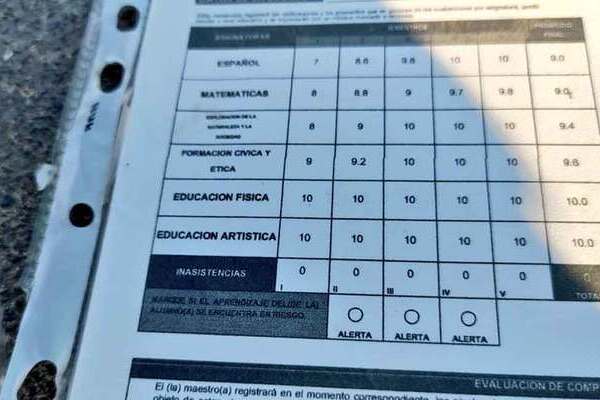 A partir del 1 de agosto, madres, padres y tutores tendrán acceso gratuito a la consulta e impresión de boletas y certificados