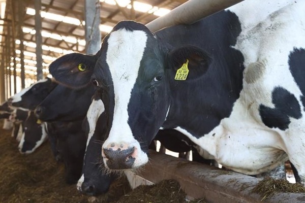 Cae valor de exportaciones agroalimentarias mexicanas más de mil millones de dólares al primer semestre