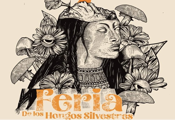 Disfruta la Feria del Hongo en Canoa el sábado