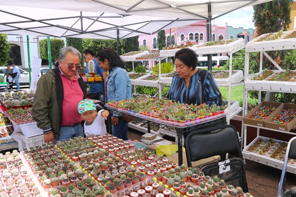 El segundo Festival de las Suculentas en Tlaxcala