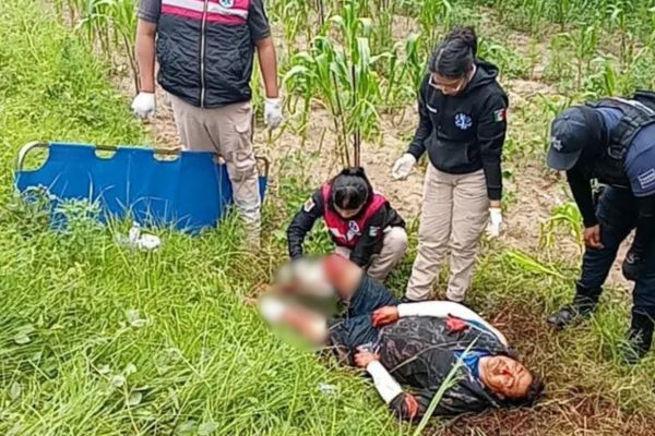 El hombre malherido fue identificado como Héctor “N”, de 42 años de edad, quien refirió que fue atacado por al menos ocho perros callejeros