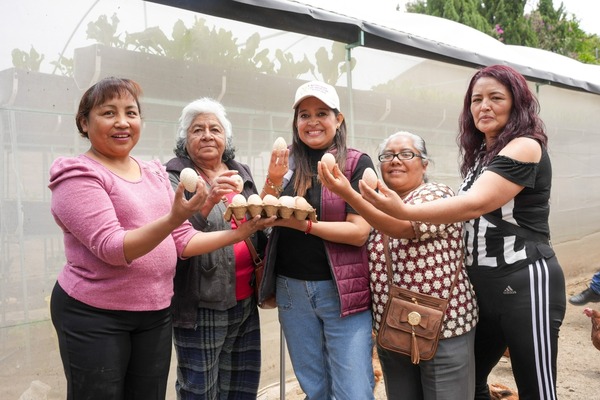 El programa "Autosuficiencia Alimentaria" brinda la oportunidad de cultivar sus propios alimentos, a través de huertos familiares
