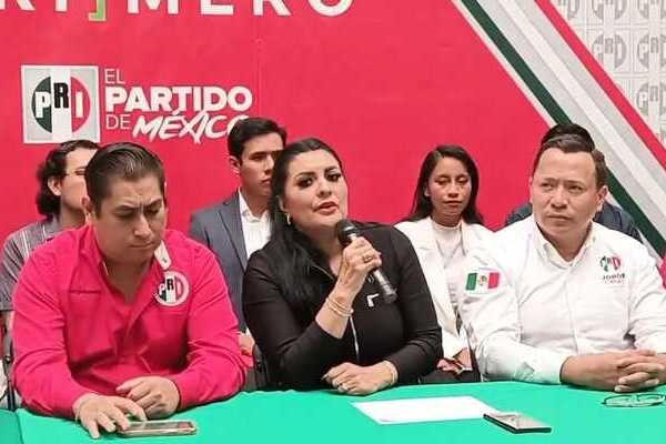 Delfina Pozos Vergara dijo que el asalto que sufrió en la autopista fue a la altura de Tlahuapan, y sucedió tras parar por una llanta ponchada