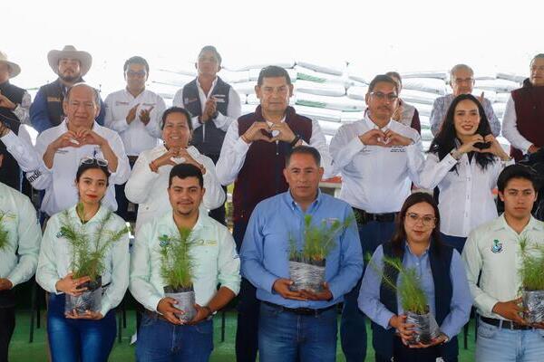 Como parte del Plan de Reforestación se entregaron 65 mil 500 plantas a Ahuazotepec, Chiconcuautla, Juan Galindo, Tlaola y Zacatlán