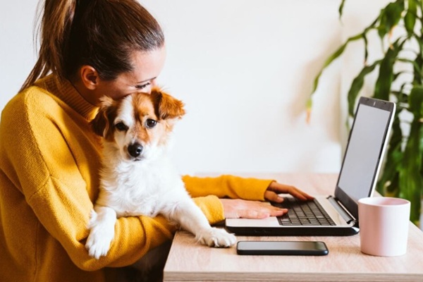Pets at Work presencia de perros en el trabajo ayuda a reducir el estrés