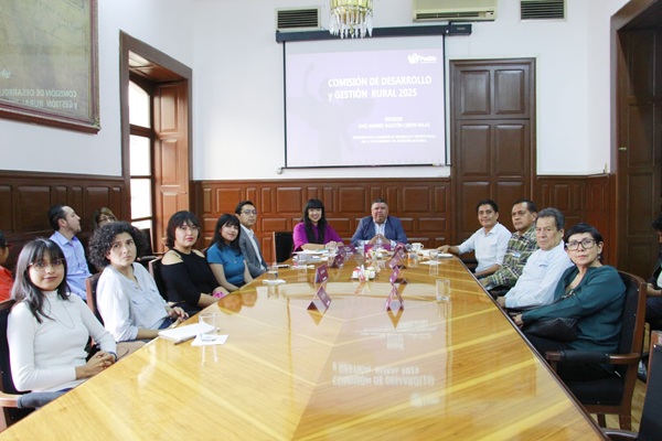 Regidoras y regidores de Puebla impulsan punto de acuerdo para reconocer cuatro “árboles patrimoniales” en la ciudad de Puebla