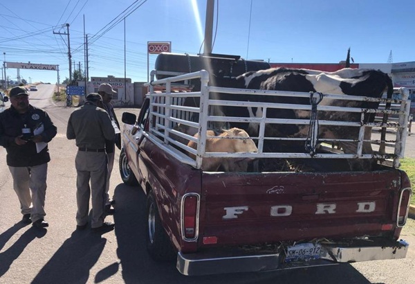 Tlaxcala y Puebla refuerzan operativos para garantizar transporte