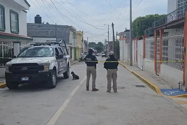 Hasta el momento, han sido identificado 15 cuerpos de los 32 que hallaron en la fosa clandestina en en la comunidad de La Calera, Irapuato