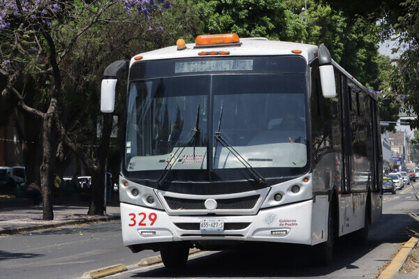 En junio, RUTA tuvo 8.2 millones de pasajeros, cantidad 4 por ciento superior a la registrada en el mismo mes de 2024, según datos de Inegi