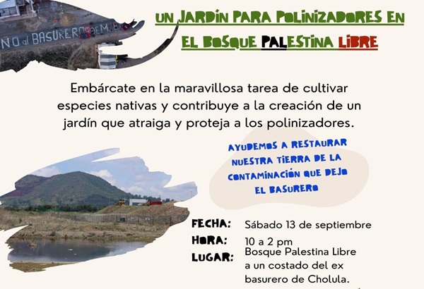 Activistas planean instalar jardín polinizador en exrelleno sanitario