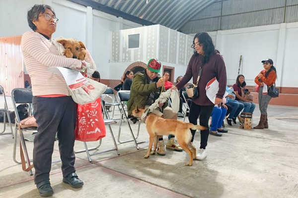 Ayuntamiento de Tlaxcala y SESA amplían fechas para esterilizar de forma gratuita a mascotas