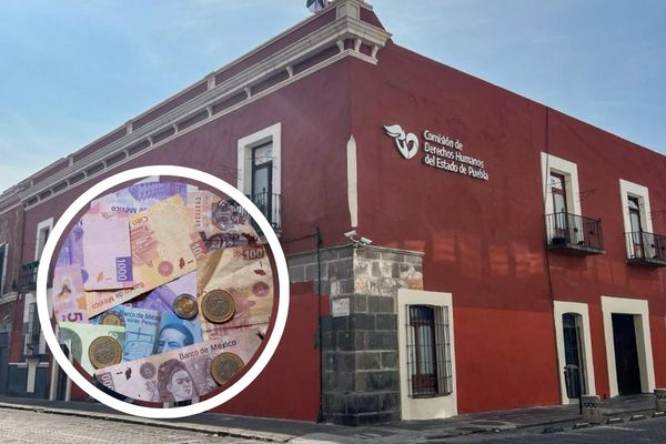 La CDH en Puebla está a la espera de que la Secretaría de Finanzas autorice la ampliación presupuestal, señaló la titular Rosa Isela Sánchez