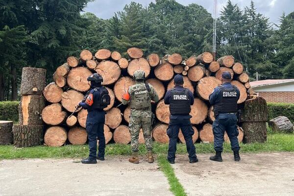 La primera intervención se registró en Eloxochitlán, donde la Policía Estatal Forestal aseguró 72 tablones de distintos tipos de madera