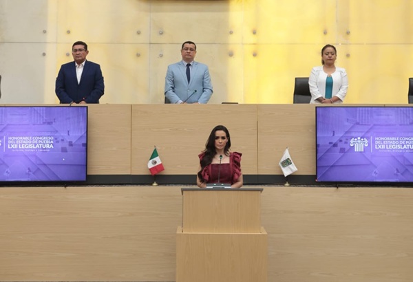 Impulsan en el Congreso de Puebla exhorto para atender a animales en situación de calle