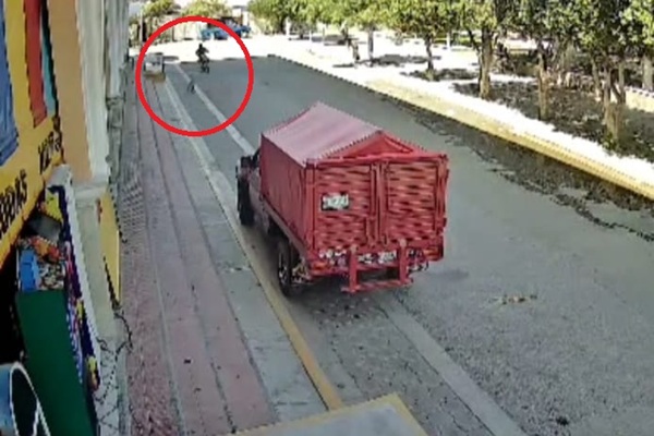 Piden identificar a motociclista que atropelló a un cachorro en Chilac