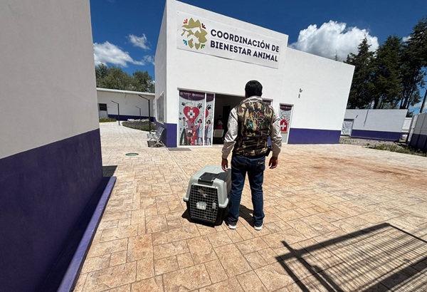 Propaet y Bienestar Animal rescatan a ejemplar en estado de maltrato