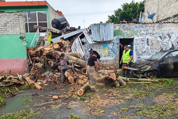 Tromba causa caída de árboles, inundaciones y daños a viviendas en Tehuacán, Puebla