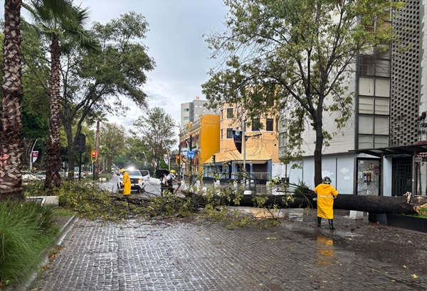Turbonada fuerte con ráfagas de viento de hasta 90 kmhr impacta