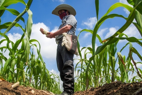 En medio de la incertidumbre económica global, la actividad económica en México reportó, en julio pasado, una caída, de acuerdo con Inegi
