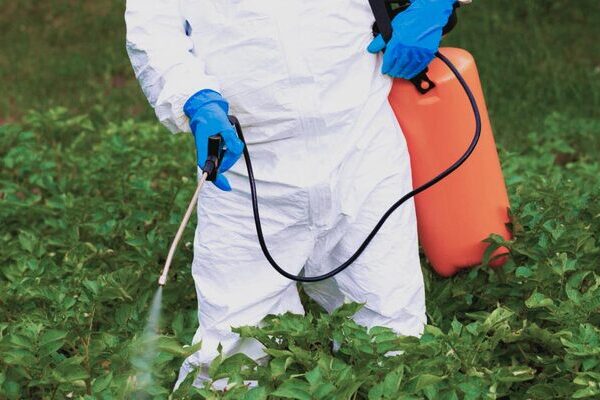 La prohibición de plaguicidas peligrosos alinea a México con la tendencia global de transitar hacia prácticas agrícolas más sostenibles