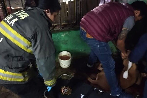 Riña entre pandillas deja hombres y perros lesionados en San Ramón, al sur de la ciudad de Puebla