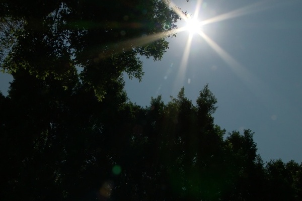 En la ciudad de Puebla hay una probabilidad media de lluvias acompañadas de tormentas eléctricas durante la tarde, alrededor de 5:00 pm