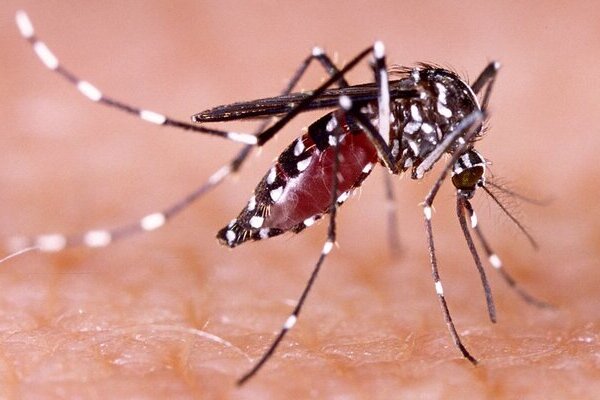 Jorge David González informó que hay seis personas hospitalizadas por presentar dengue en los municipios afectados por las lluvias