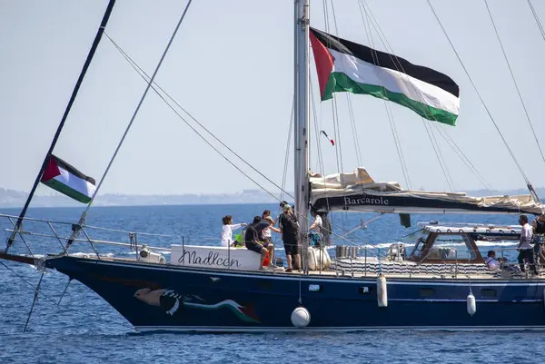 Los activistas participaban en la Flotilla de la Libertad y Thousand Madleens to Gaza y fueron llevados a la costa para ser procesados