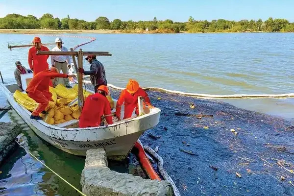 Las especies que habitan en el río Pantepec se contaminaron con el hidrocarburo que dejó un derrame proveniente del ducto de Pemex