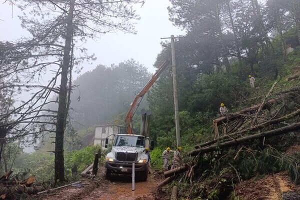 La directora del CFE dijo que aún hay 2 mil 942 poblanos que carecen del servicio de energía eléctrica, pues las lluvias afectaron 46 postes