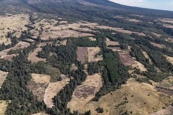 Semarnat avaló el proyecto del “Ecoparque Tlalli – Malinche”, la construcción de las cabañas y áreas de esparcimiento deberá ser sustentable