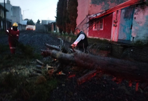 Atiende Ayuntamiento de Puebla incidentes por lluvias sin personas lesionadas; se registraron inundaciones y caída de árboles