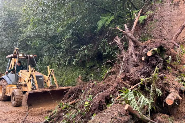 Respecto a los municipios de Tlaxco, Francisco Z. Mena, Naupan, y Zihuateutla, dijo que se han establecido algunos caminos provisionales