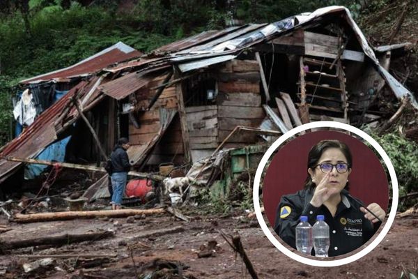 Según el registro de la CNPC, el estado de Puebla es la entidad donde hubo más escuelas dañadas, 469 registraron afectaciones