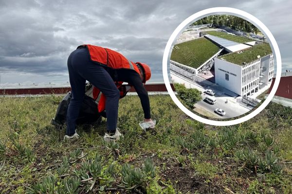 La presidenta del Congreso loca, Laura Artemisa, planteó que la Secretaría de Infraestructura y el INAH atiendan las filtraciones de agua