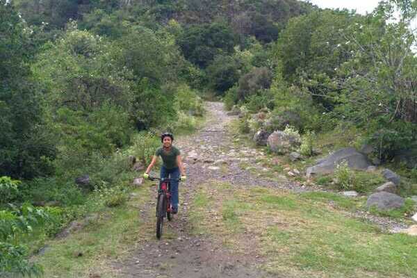 En redes sociales, Brenda Lira comparte publicaciones contra el capitalismo, el genocidio en Gaza y la defensa de la soberanía alimentaria