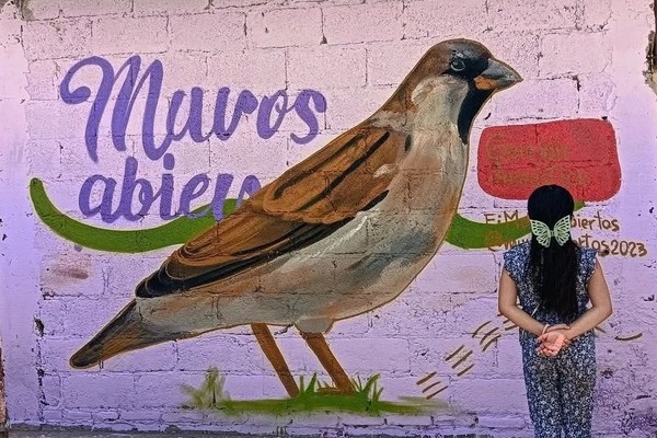 Con el proyecto "Muros abiertos", la artista local, Laura Tela, busca dar visibilidad a la flora y la fauna que cohabita en Flor del Bosque