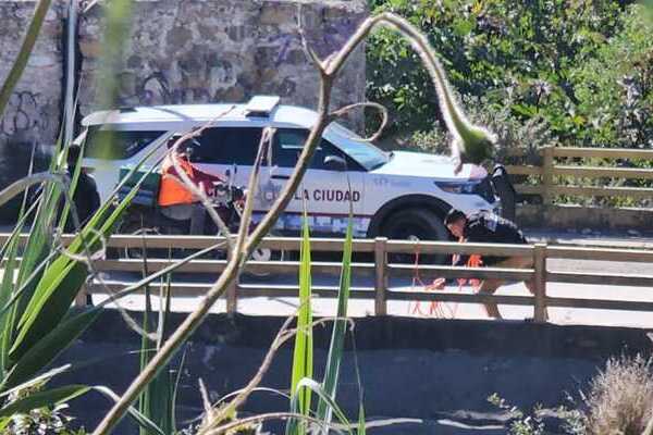 Una persona que pasaba por la barranca del puente 2 de Marzo se percató de la presencia de una cabeza humana rodeada de perros