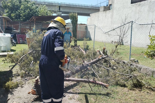 En el Centro Histórico de Puebla, algunas de las calaveras de la exposición “Me lleva la Huesuda" fueron derrumbadas por el viento
