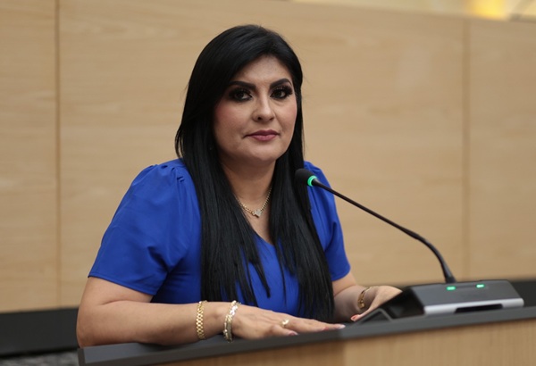 Impulsa Delfina Pozos iniciativa para reconocer y atender la salud mental materna en los servicios de salud pública en Puebla
