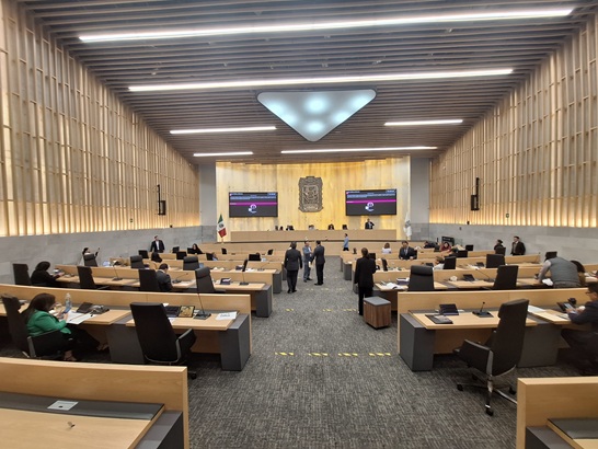 Impulsan en el Congreso propuesta legislativa para facilitar acceso a perros guía en instalaciones públicas y privadas