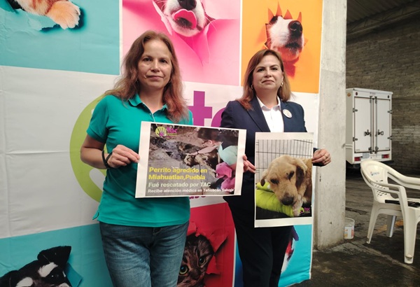 TAC exige castigo máximo al agresor de “Huesitos”