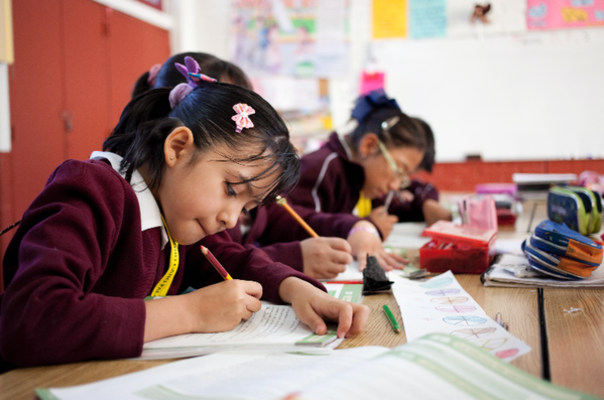 Lluvias en Puebla: Regresan a clases presenciales 41 mil 566 estudiantes de 563 escuelas de la Sierra Norte