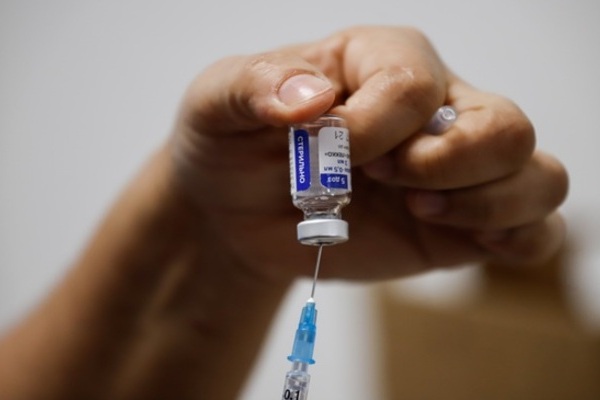 Un estudio de la Universidad de Massachusetts Amherst demuestra que su vacuna puede prevenir varios tipos de cáncer en ratones